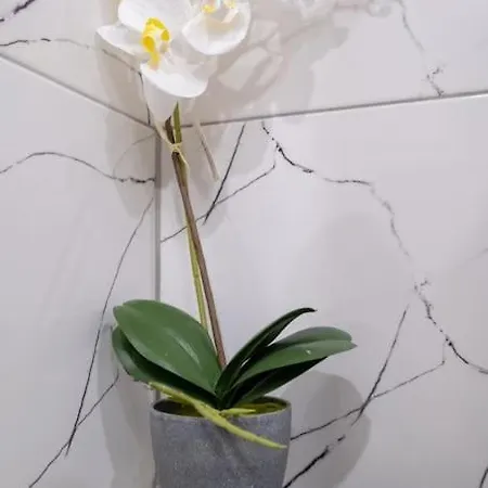Апартамент Cozy&spacious Flat With Private Terrace, Top Center София
